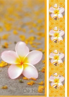 Prentbriefkaart blanco