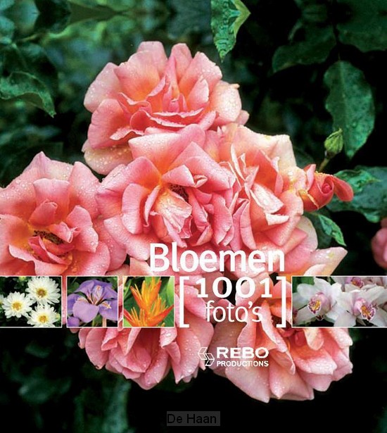 Bloemen 1001 foto's