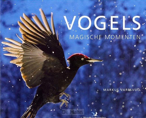 Vogels magische momenten