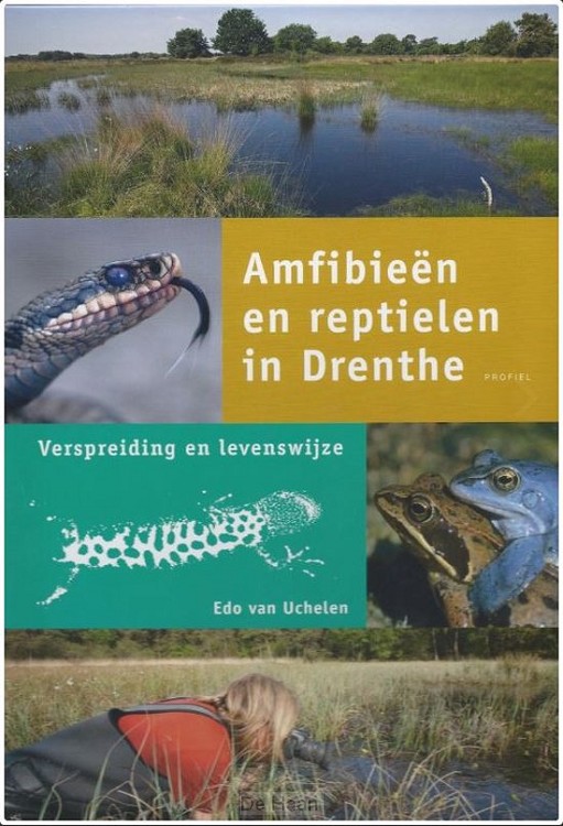 Amfibieën en reptielen in Drenthe