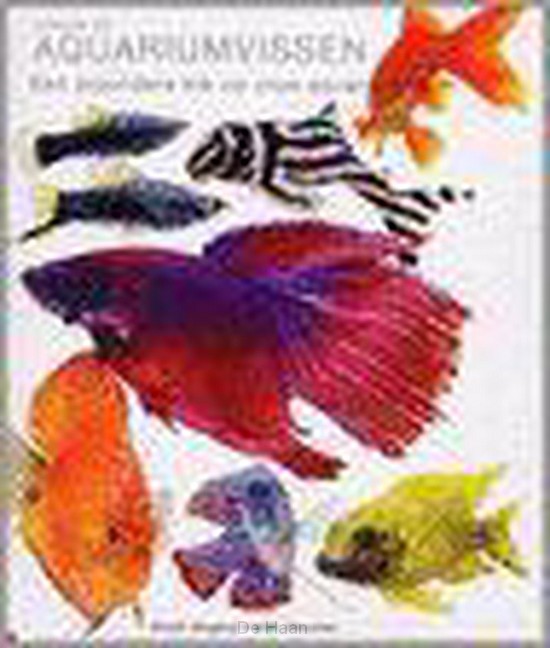 Focus op aquariumvissen