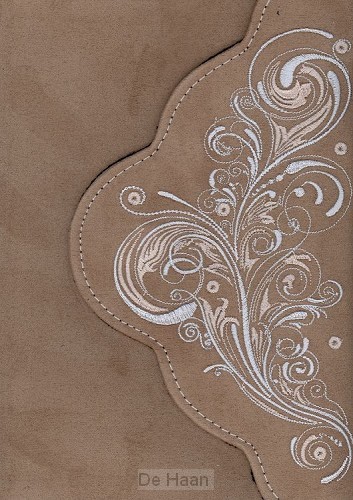 Bijbel nbv standaard limit ed groot