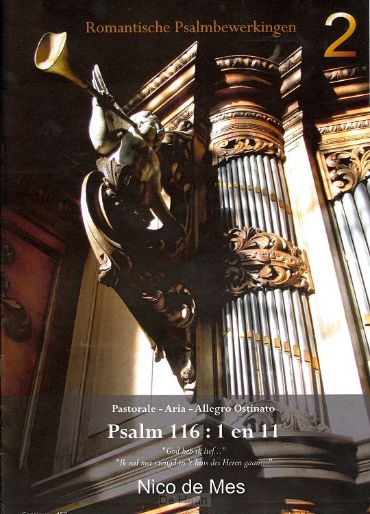 Romantische psalmbewerkingen (2)