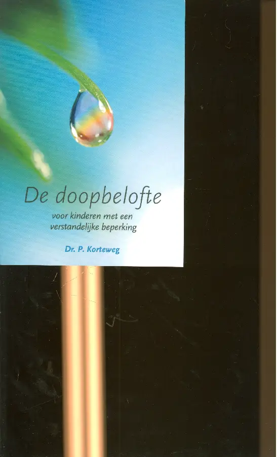 Doopbelofte kind met verstand beperking