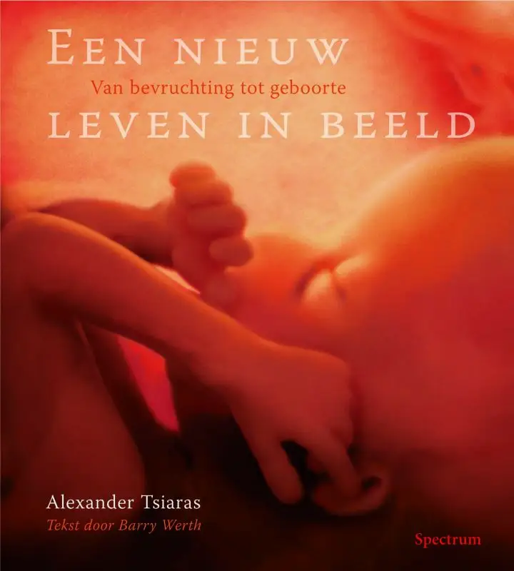 van bevruchting tot geboorte