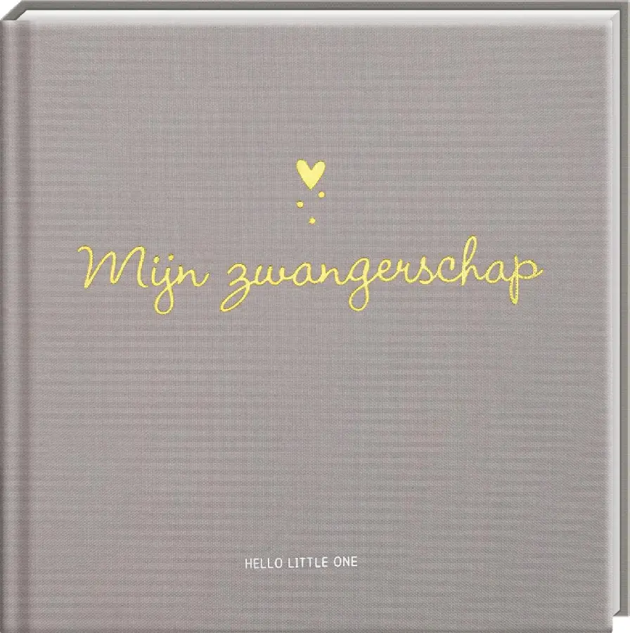 Baby invulboeken - Mijn zwangerschap