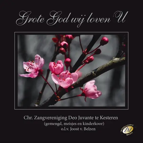 Grote God wij loven U