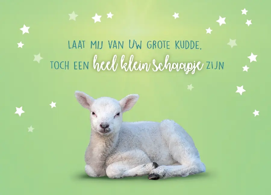 Laat mij van uw grote kudde