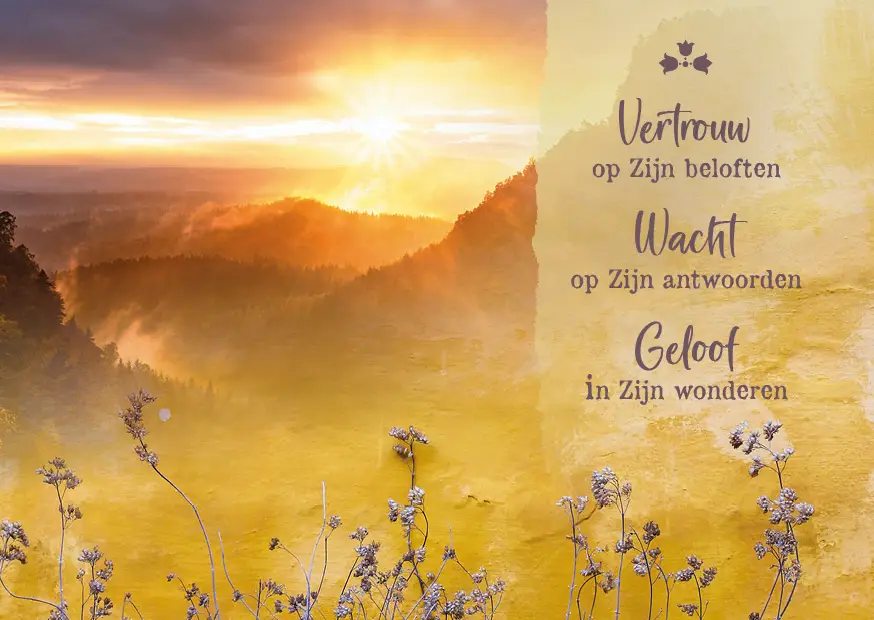 Vertrouw op Zijn beloften