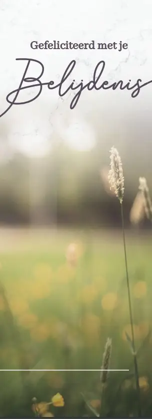 Boekenlegger Gef. je Belijdenis