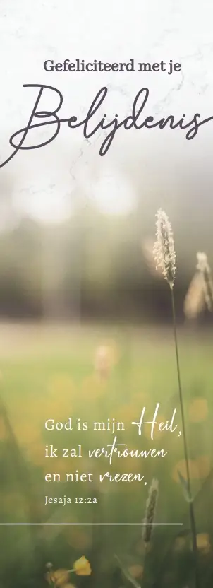 Boekenlegger Gef. je Belijdenis