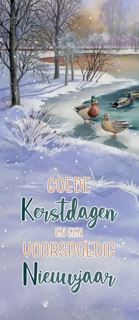 Boekenlegger Goede K/N