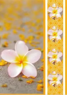 Prentbriefkaart blanco