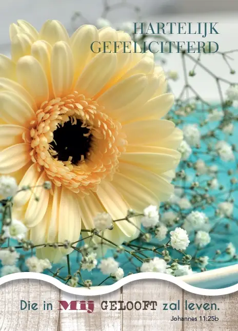 Prentbriefkaart gefeliciteerd