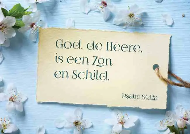 Prentbriefkaart blanco