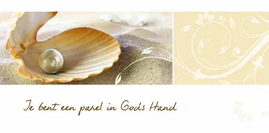 Panoramakaart met envelop parel