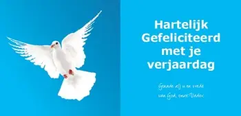 Panoramakaart met envelop