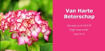 Panoramakaart met envelop