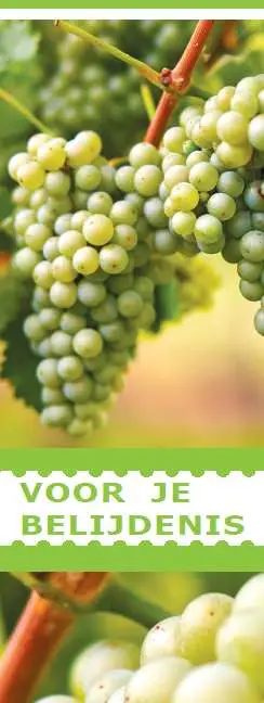 Boekenlegger voor je belijdenis