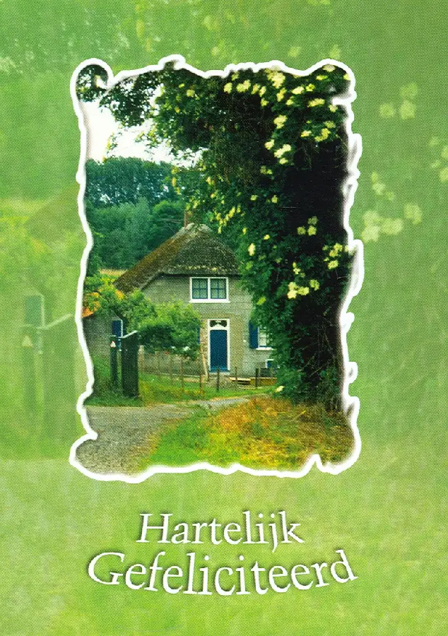 Ausgewahlte orgelwerke (4)