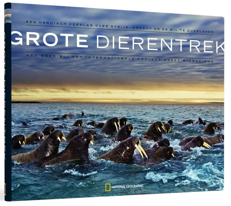 Grote dierentrek