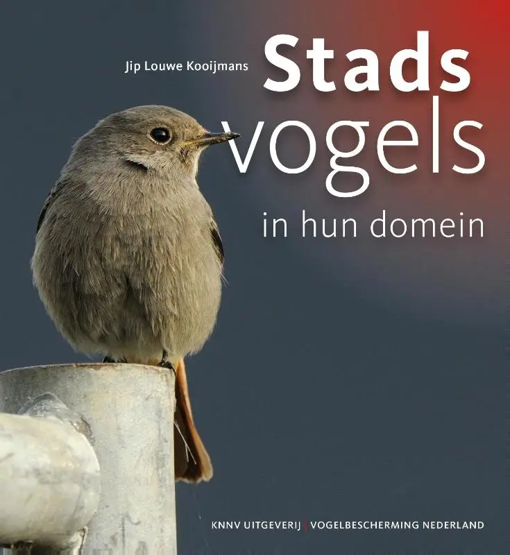 Stadsvogels