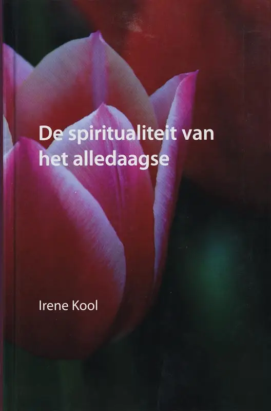 De spiritualiteit van het alledaagse / druk 1
