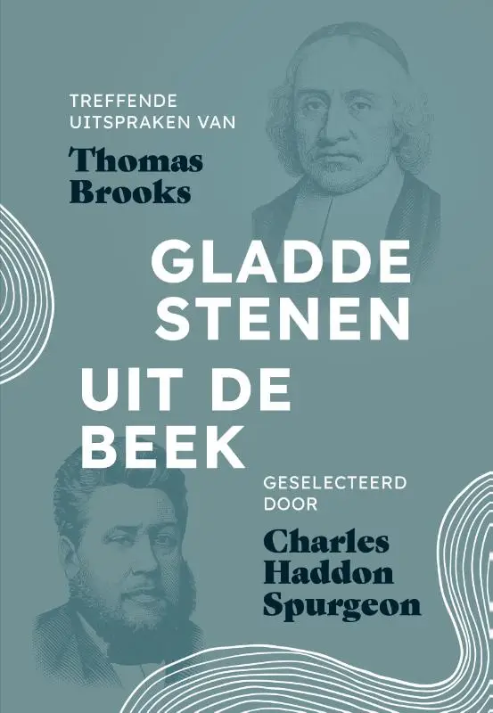 Gladde stenen uit de beek