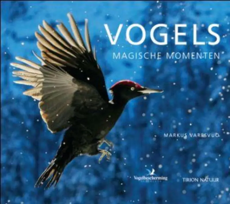 Vogels magische momenten