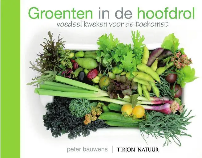 Groenten in de hoofdrol
