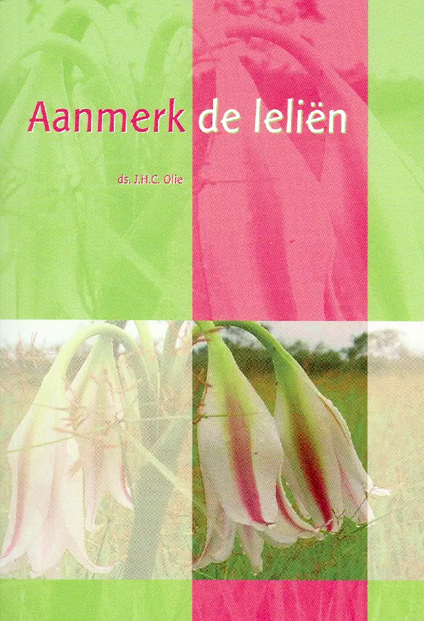 Aanmerk de lelien