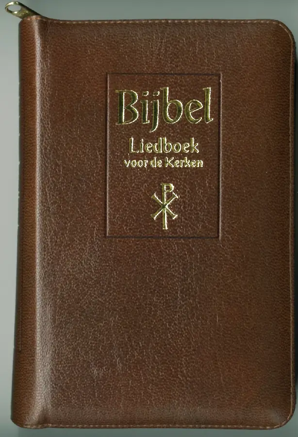 Mediobijbel 123812 nbg liedb bruin leer