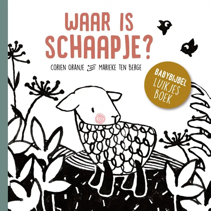 Waar is schaapje?