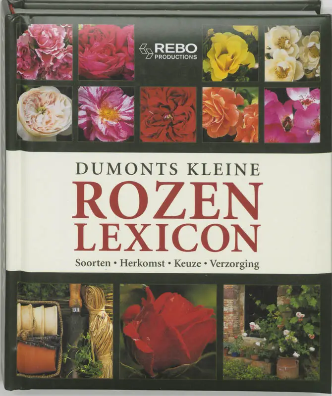 Prisma miniwoordenboek Latijns-Amerikaans-Spaans / druk 1

Latijns-Amerikaans-Spaans-Nederlands /

Nederlands-Latijns-Amerikaans-SpaanseransferE